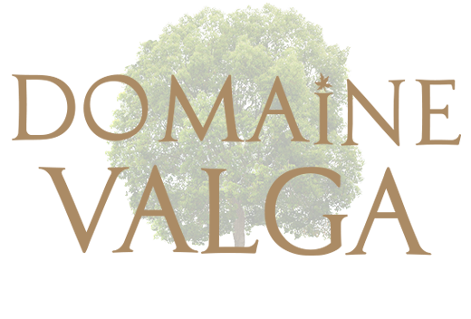 Domaine Valga et Forêt de Maître Corbeau : auberge, centre de villégiature, parc de sentiers aériens dans les arbres, hébertisme, parcours d'aventure