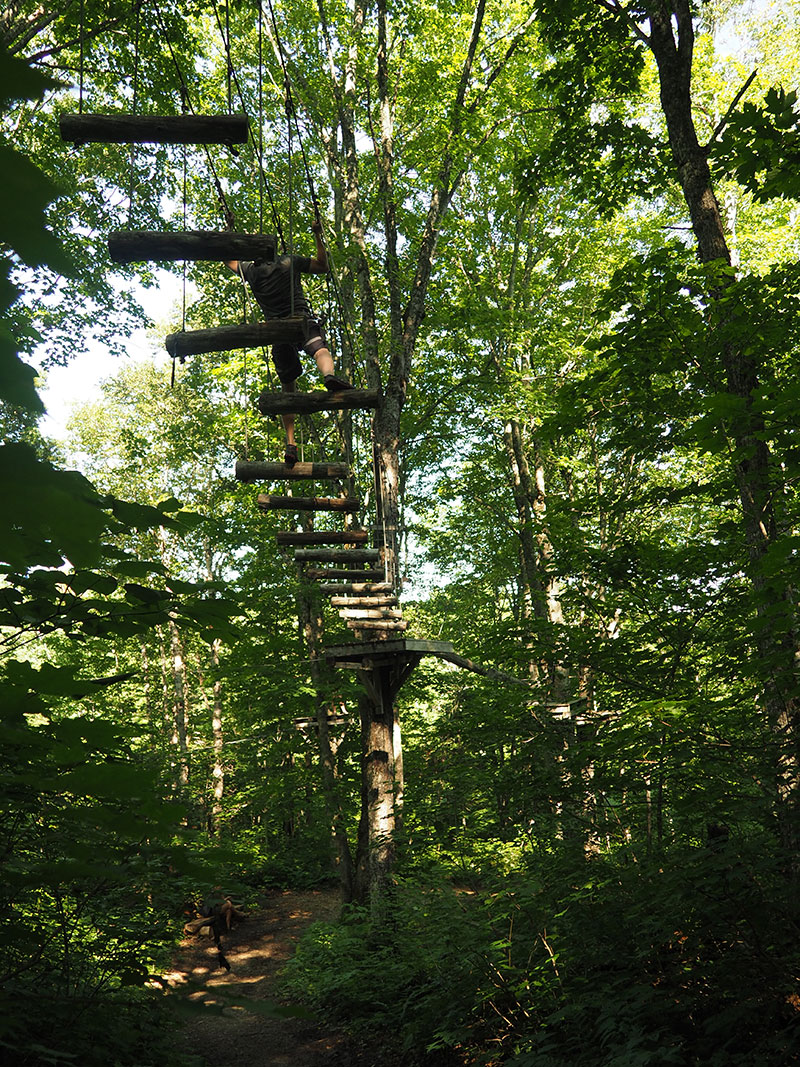 Parc de sentiers aériens dans les arbres